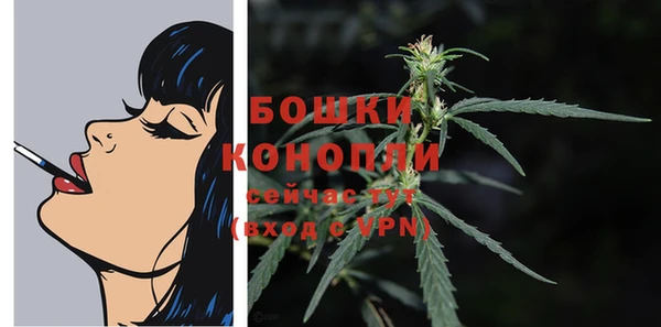 кокс Бородино