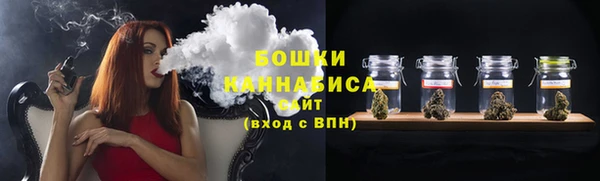 сатива Кедровый