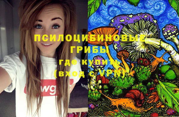 герыч Кемь