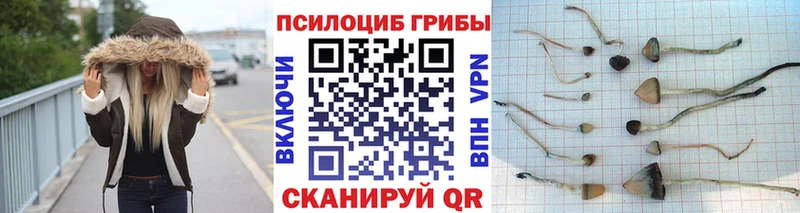 Галлюциногенные грибы MAGIC MUSHROOMS  где найти наркотики  Городище 