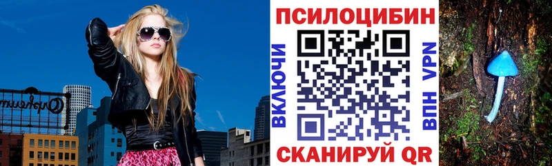 Псилоцибиновые грибы мицелий Городище