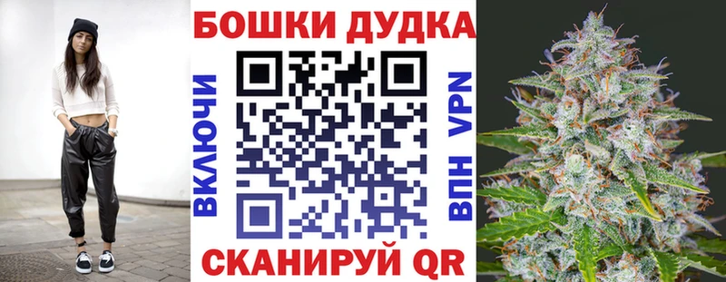 где найти   Городище  Канабис OG Kush 